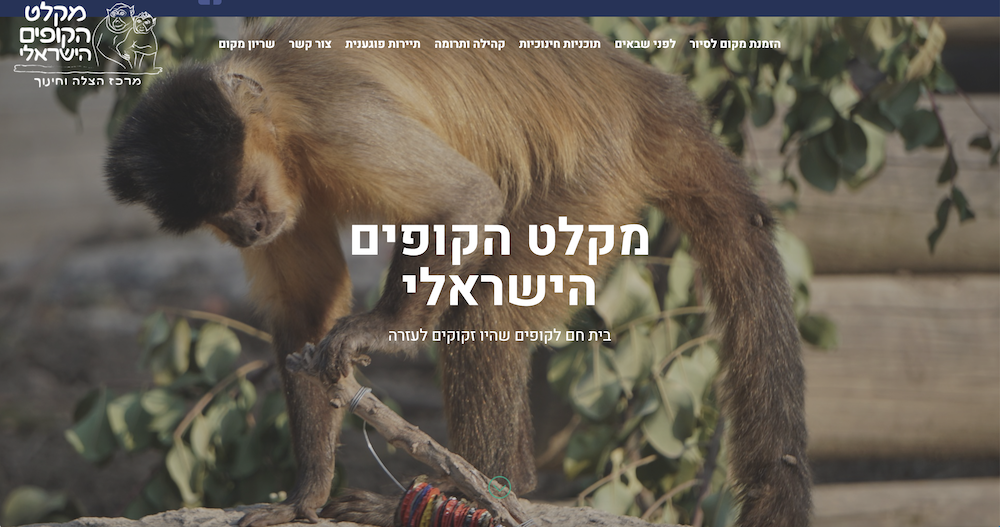 מקלט הקופים הישראלי